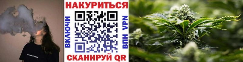 ГАШ Великие Луки