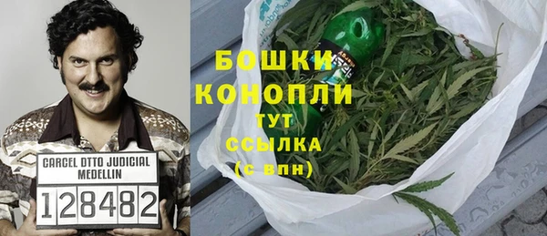 a pvp Бородино