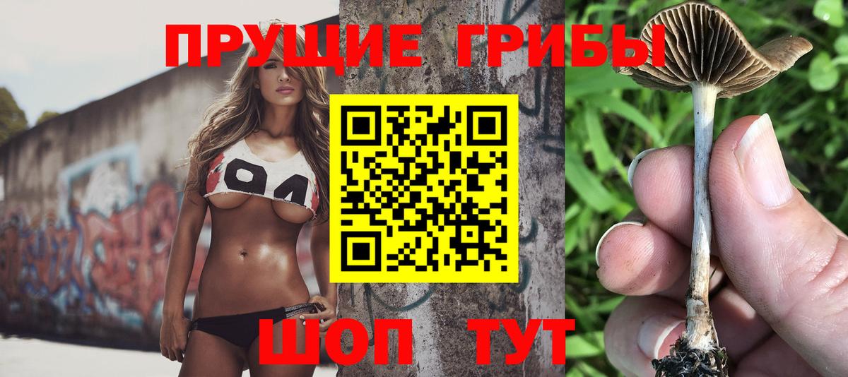 Псилоцибиновые грибы Cubensis Великие Луки